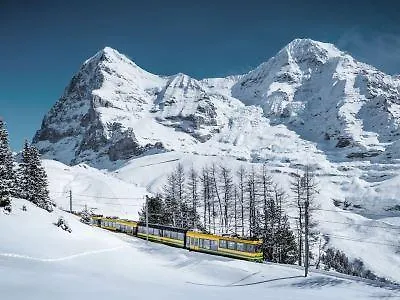 Hotel Wengener Hof Wengen