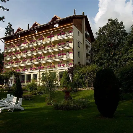 Wengener Hof Hotel Wengen