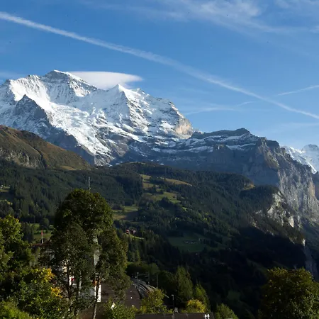 Wengener Hof Hotel Wengen