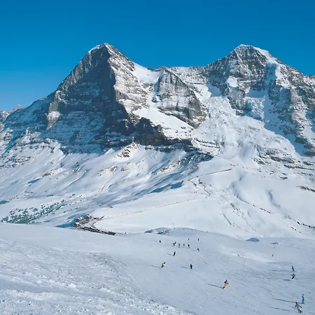 Wengener Hof Hotel Wengen