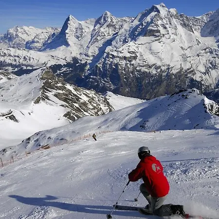Wengener Hof 4* Wengen