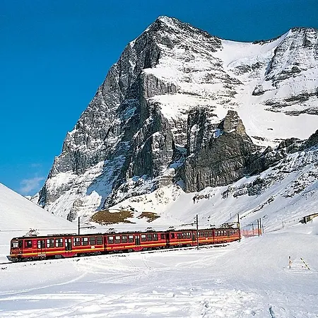 Wengener Hof Wengen