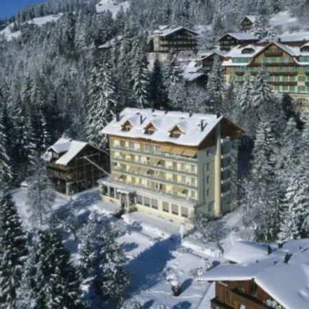 Wengener Hof ホテル 4*