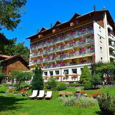 Hotel Wengener Hof 4*