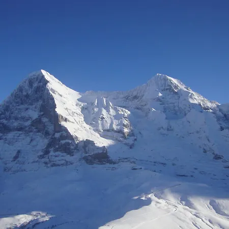 Wengener Hof Hotel 4*