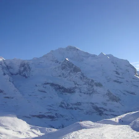 Hotel Wengener Hof 4*