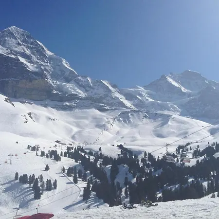 Wengener Hof Hotel 4*