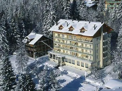 Wengener Hof 4* Венген