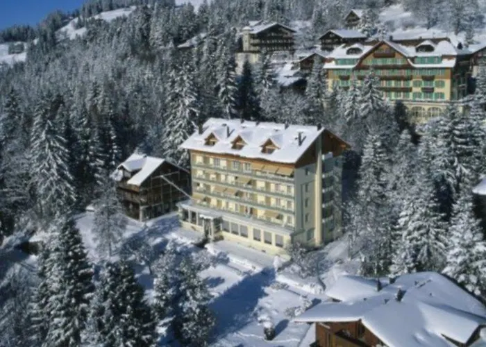 Wengener Hof Отель 4*