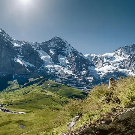 Hotel Wengener Hof 4*