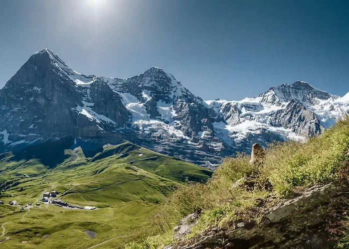 Hotel Wengener Hof 4*