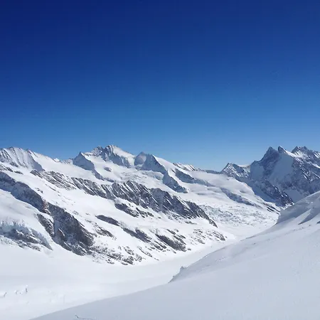 Wengener Hof Отель 4*