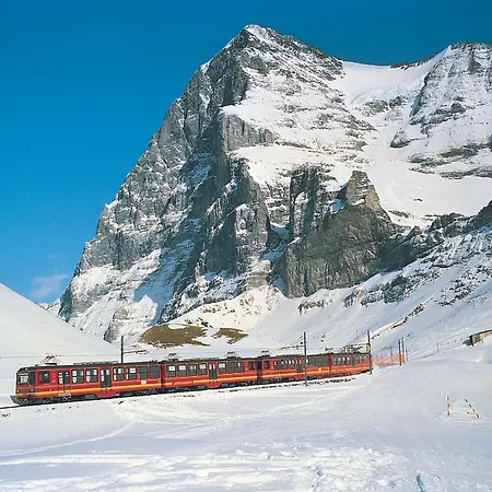 Wengener Hof Wengen